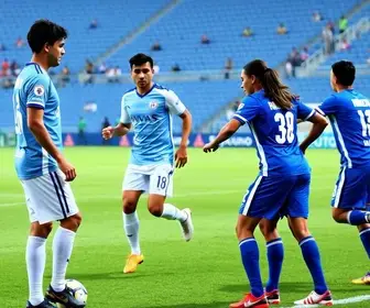 Avaí Campeonato Brasileiro Série B