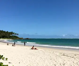 Descubra a Beleza da Praia da Lagoinha no Ceará Descubra a Beleza da Praia da Lagoinha no Ceará