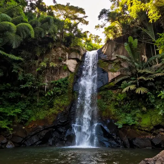 Descubra a Cachoeira do Cipó