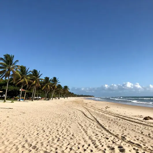 Descubra a Praia de Lagoinha