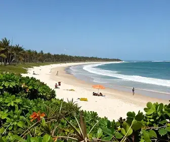 Descubra a Praia de Sabiaguaba: Beleza e Tradição no Ceará Descubra a Praia de Sabiaguaba: Beleza e Tradição no Ceará