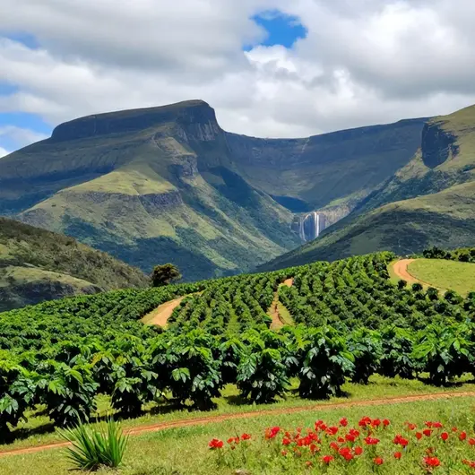 Descubra a Serra da Ibiapaba
