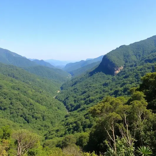 Descubra a Serra Nativa