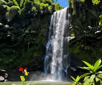 Descubra as Cachoeiras de Ubajara: Um Paraíso Natural no Ceará