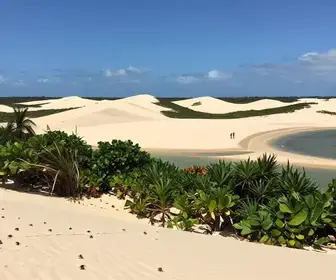 Descubra Morro Branco: O Paraíso Cearense que Você Precisa Visitar