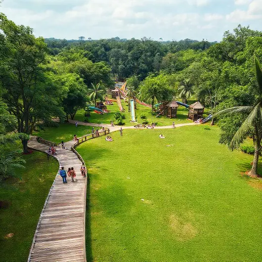 Descubra o Arajara Park
