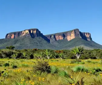 Descubra o Geopark Araripe: Beleza Natural e Patrimônio Geológico no Ceará Descubra o Geopark Araripe: Beleza Natural e Patrimônio Geológico no Ceará