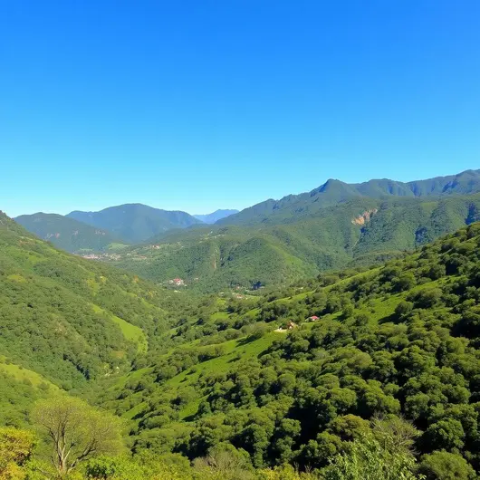 Descubra o Maciço de Baturité: Natureza e Aventura no Ceará
