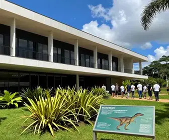 Descubra o Museu de Paleontologia Plácido Cidade Nuvens no Ceará