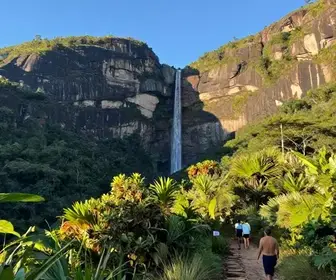 Descubra o Parque Nacional de Ubajara: Natureza e Aventura no Ceará