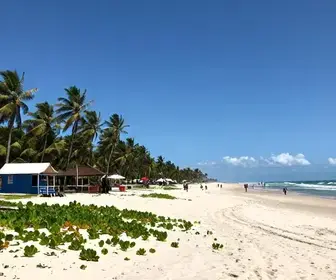 Descubra O Que Fazer em Aracati: Riquezas do Litoral Leste do Ceará