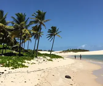 Descubra o que Fazer em Camocim, Ceará: Roteiro Imperdível