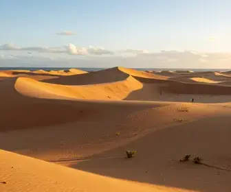 Explorando as Encantadoras Dunas do Ceará