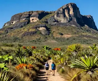 Explorando as Trilhas da Chapada do Araripe: Aventura e Natureza no Ceará