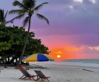 Explorando o Ceará Sozinho: Dicas para uma Viagem Inesquecível Explorando o Ceará Sozinho: Dicas para uma Viagem Inesquecível