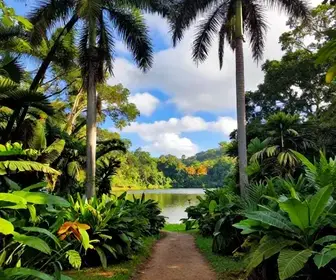 Explorando o Parque Estadual do Cocó: Natureza e Lazer no Ceará