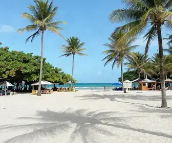 Praia de Caponga: Um Paraíso Cearense para Relaxar e Aproveitar