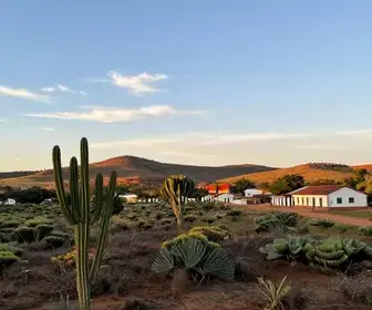 Quixeramobim: um guia prático para sua viagem ao Sertão Central do Ceará